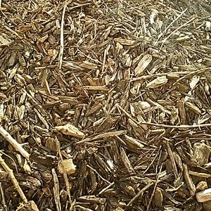 Meet your Posher, Jesse