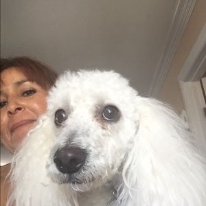 Meet your Posher, Adriana