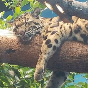 Meet your Posher, Stacie lynn