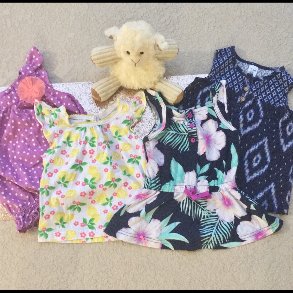 BUNDLE of 4 Toddler Girls tops- Carter's/Gymboree
