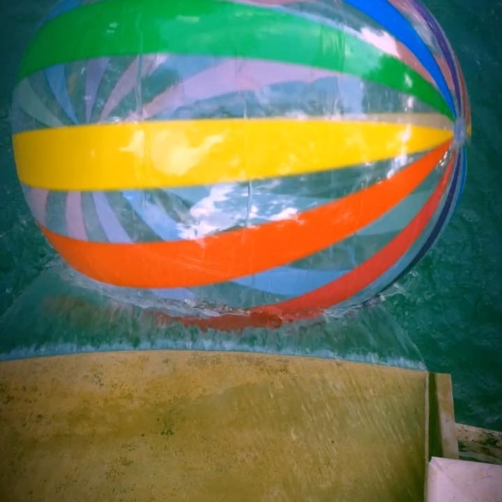 Meet your Posher, Susan