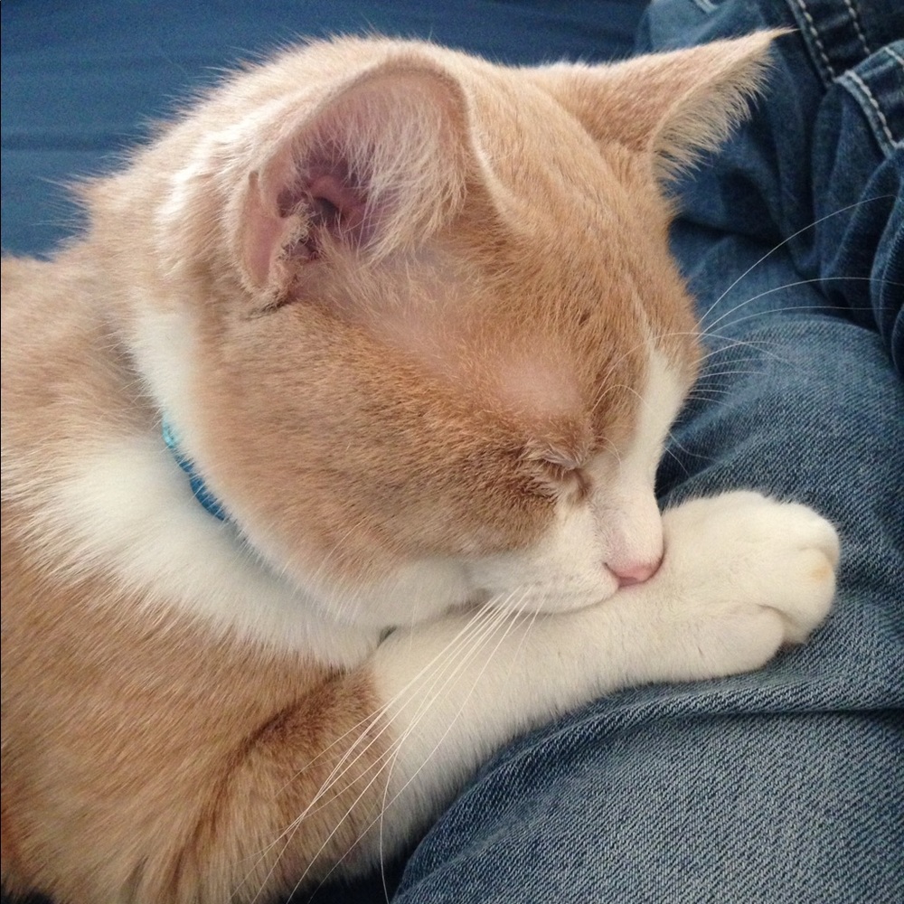 Meet your Posher, Kassandra