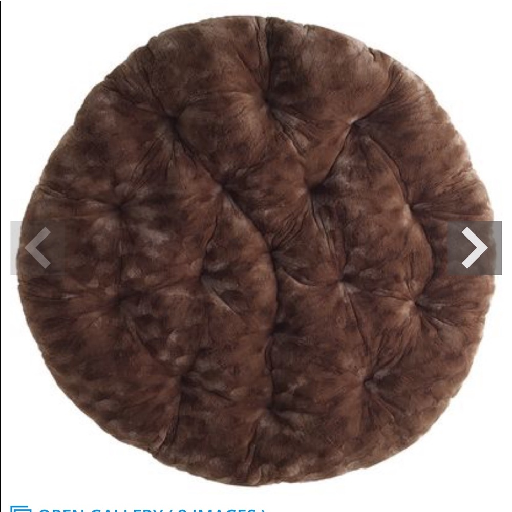 Pier 1 Papasan Cushion