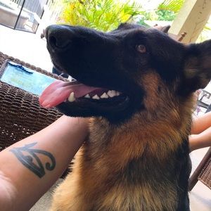 Meet your Posher, Natalie