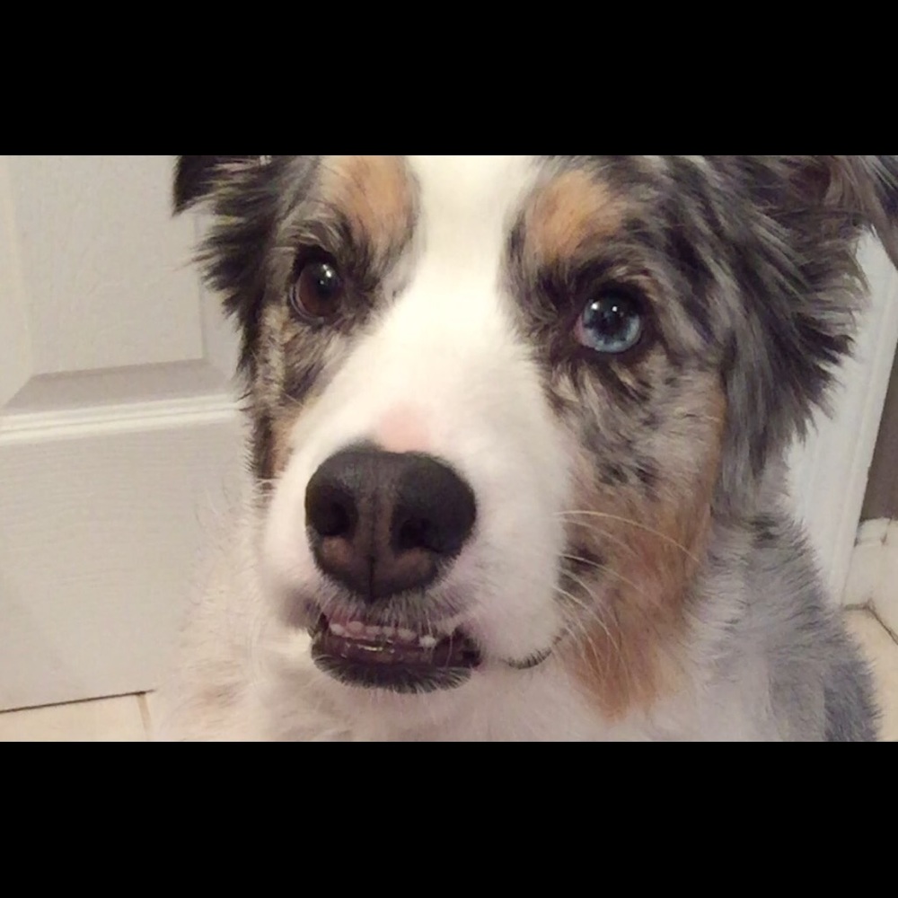 Meet your Posher, Karen