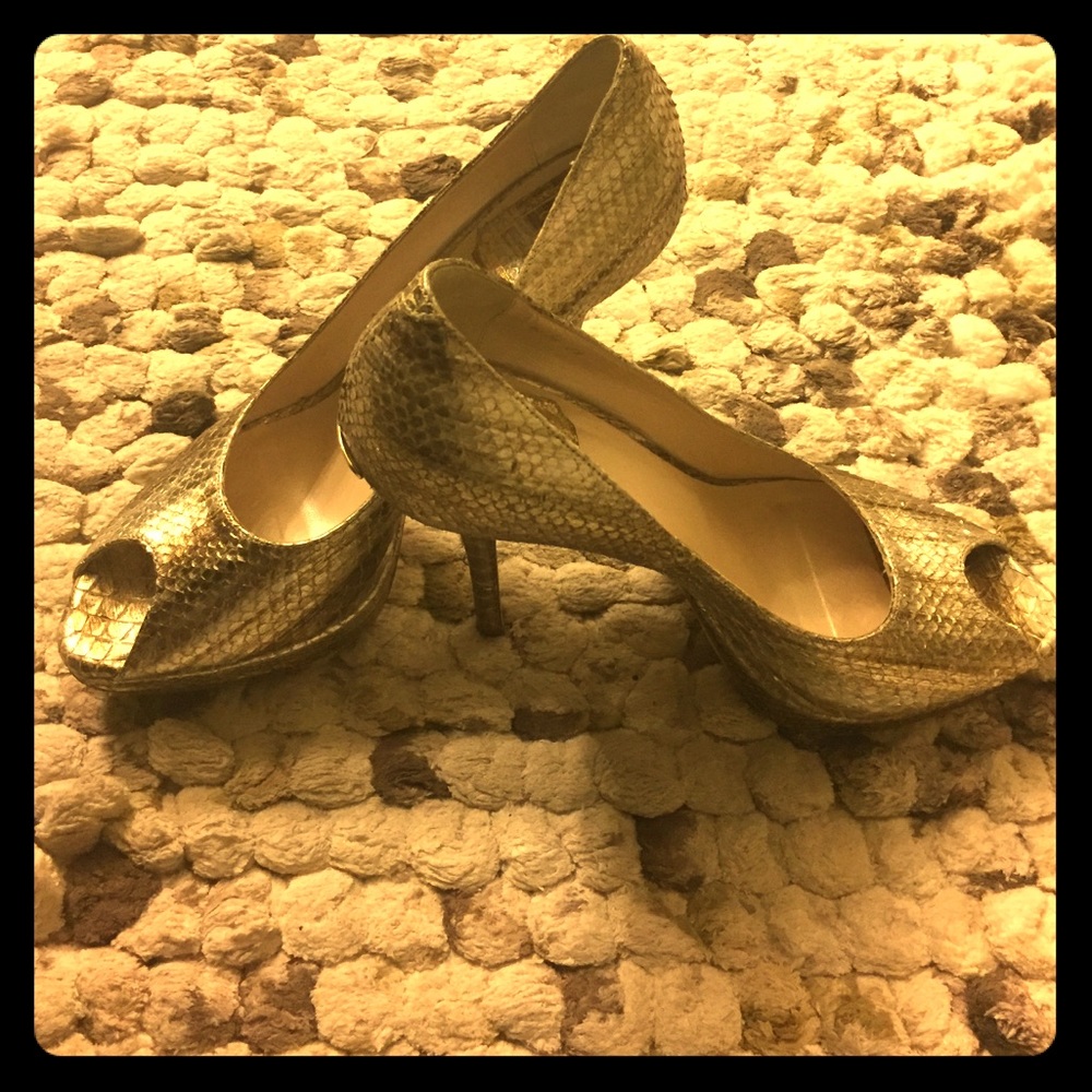 Christian Dior shoes authentic