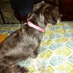 Meet your Posher, Jane