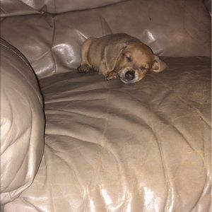 Meet your Posher, Haley