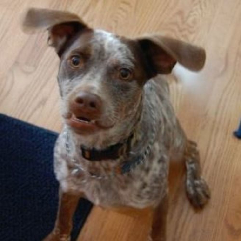 Meet your Posher, Gretchen