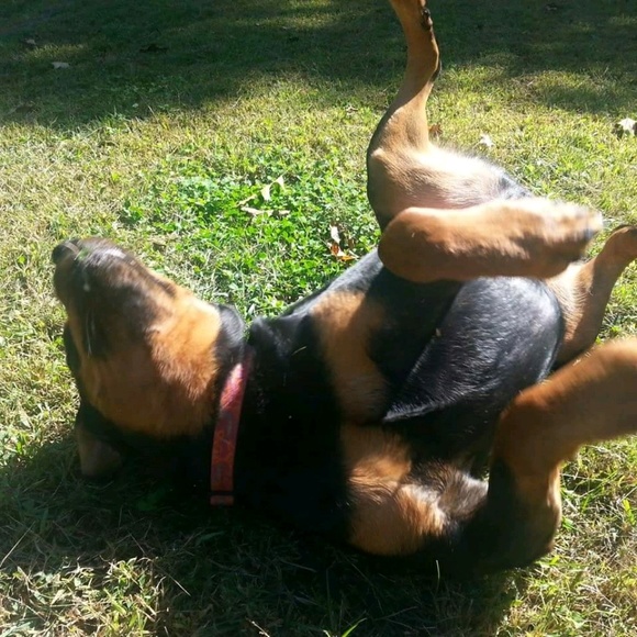 Meet your Posher, Jay - Picture 1 of 1