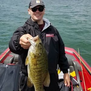 Meet your Posher, Gavin