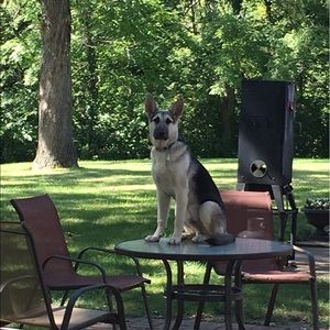 Meet your Posher, Hailie