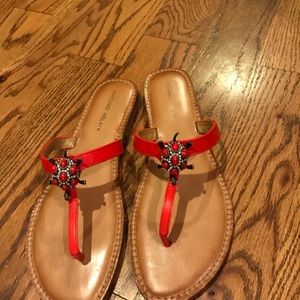 Women's Antonio Melani sandals