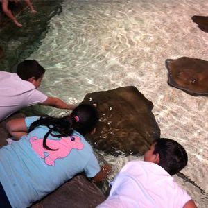 Meet your Posher, Sharon