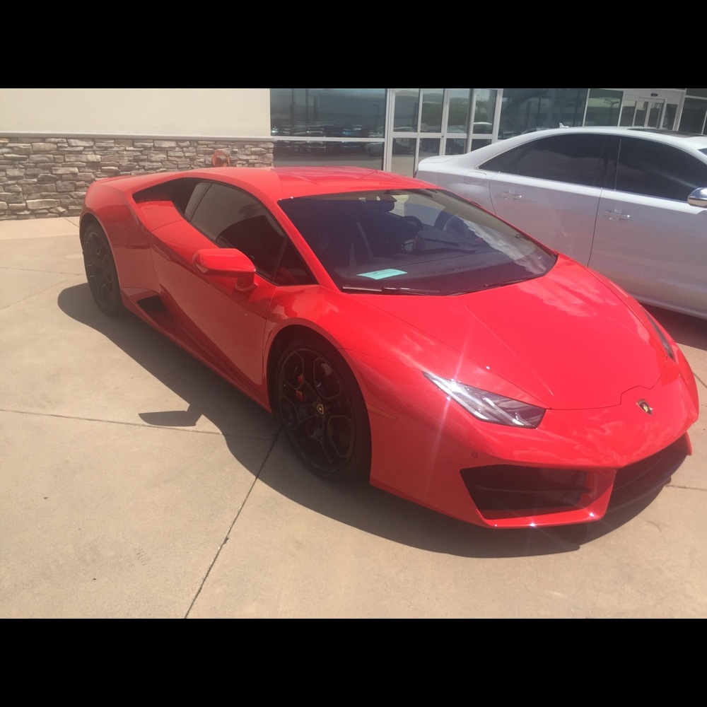 Meet your Posher, Holly