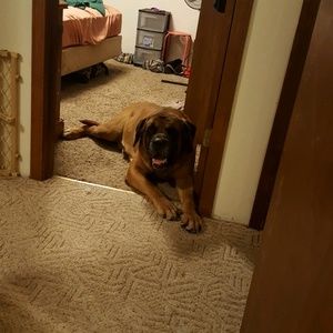 Meet your Posher, Keri