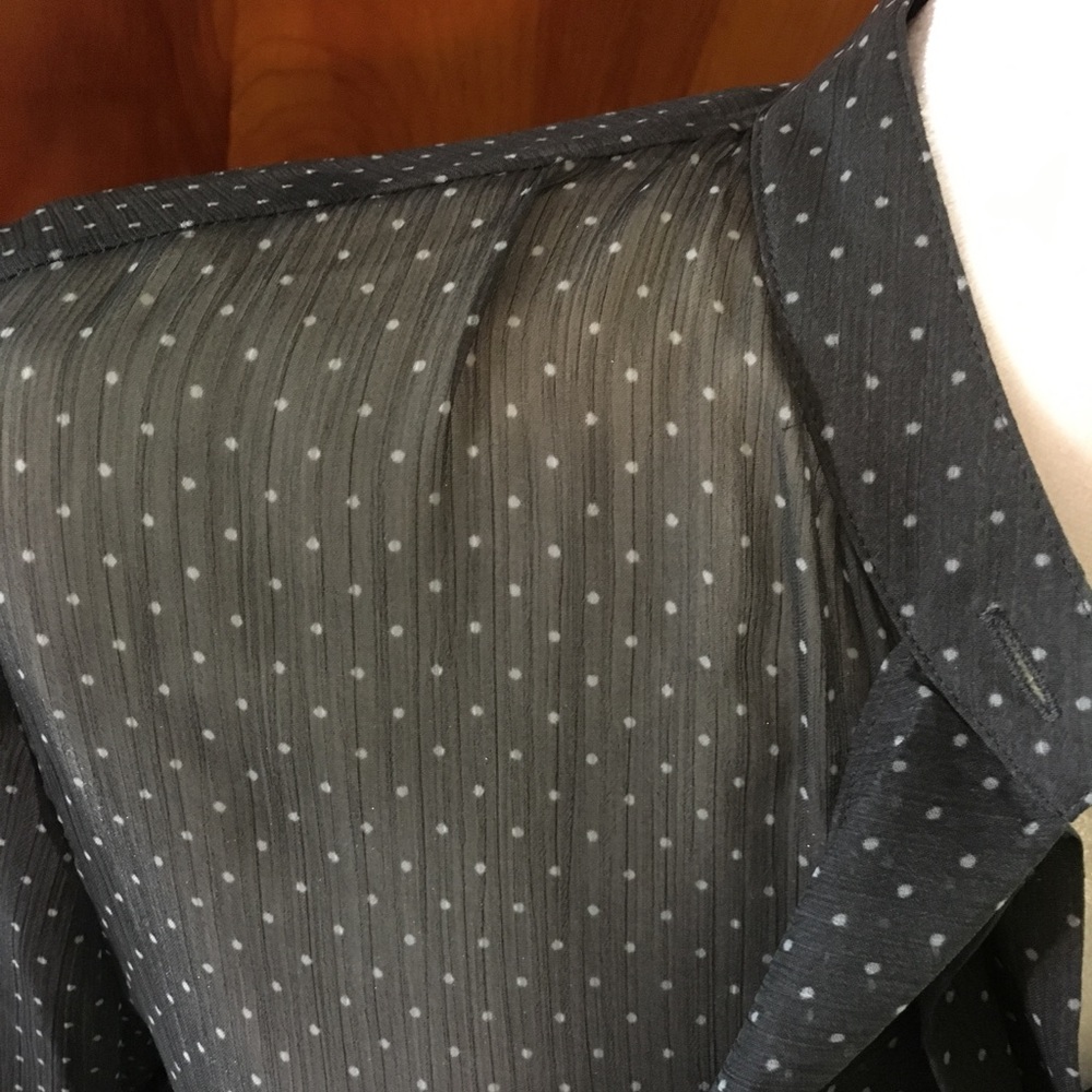 Brand New Banana Republic Sheer Polka Dot Blouse - Picture 2 of 4