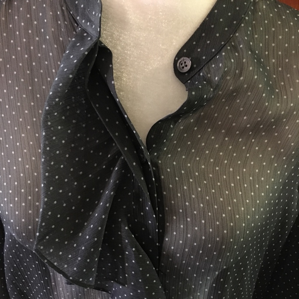 Brand New Banana Republic Sheer Polka Dot Blouse - Picture 3 of 4