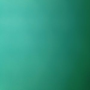 Meet your Posher, Eva