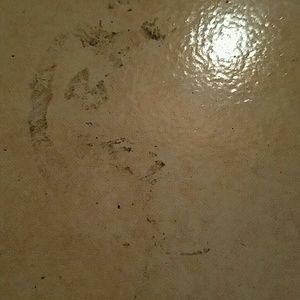 Meet your Posher, Travis