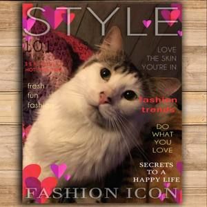 Meet your Posher, Meg