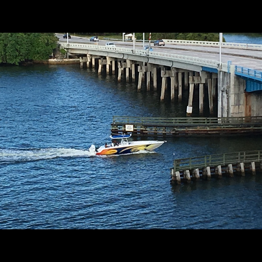 Meet your Posher, Ebony