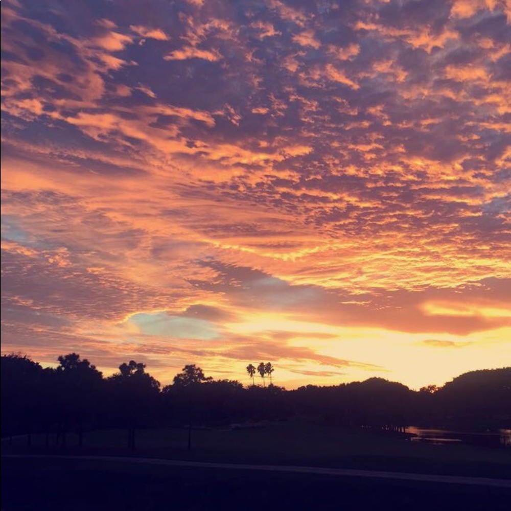 Meet your Posher, Gabby