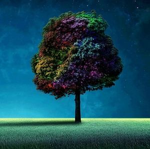 Meet your Posher, Mason