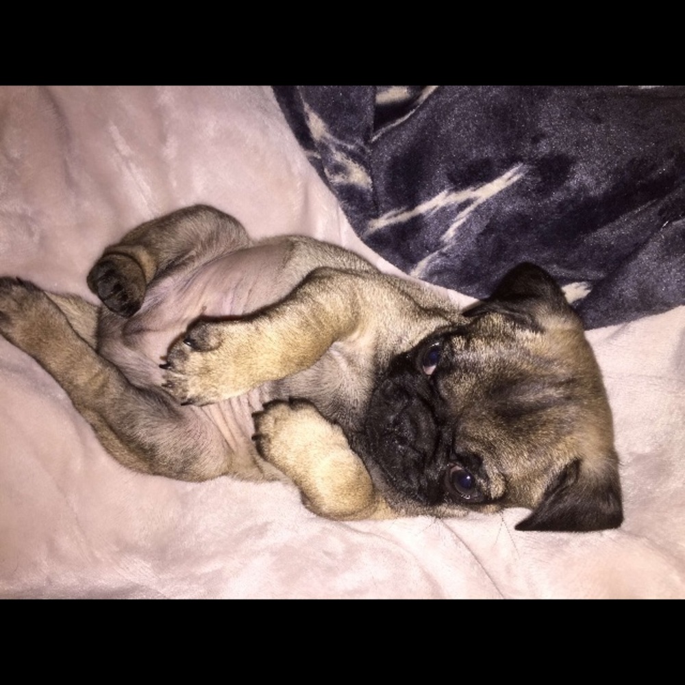 Meet your Posher, Robyn