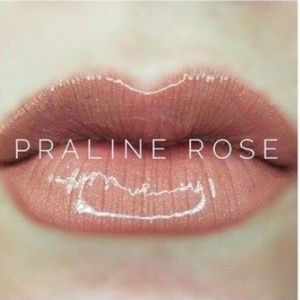 NWT Praline Rose LipSense