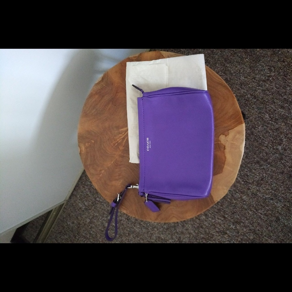 Coach Mini Clutch
