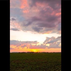 Meet your Posher, Princess