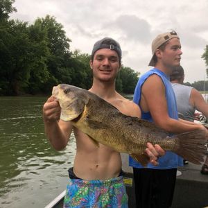 Meet your Posher, Andrew