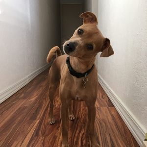 Meet your Posher, June