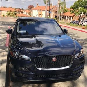 Meet your Posher, Fred