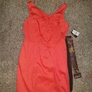 Coral Business Casual Dress
