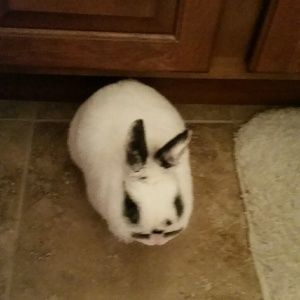 Meet your Posher, Julie