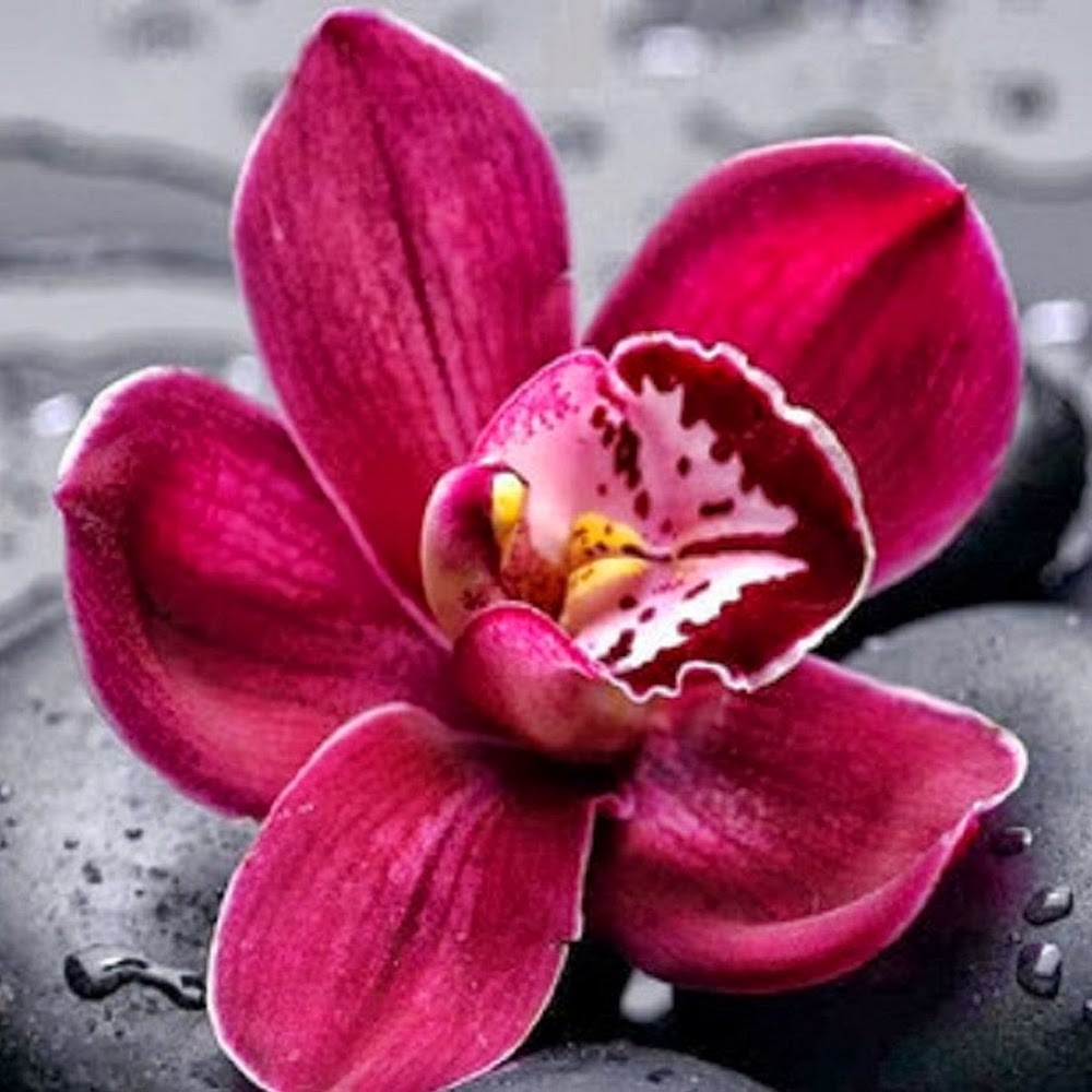 Meet your Posher, Caitlin