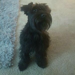 Meet your Posher, Melissa