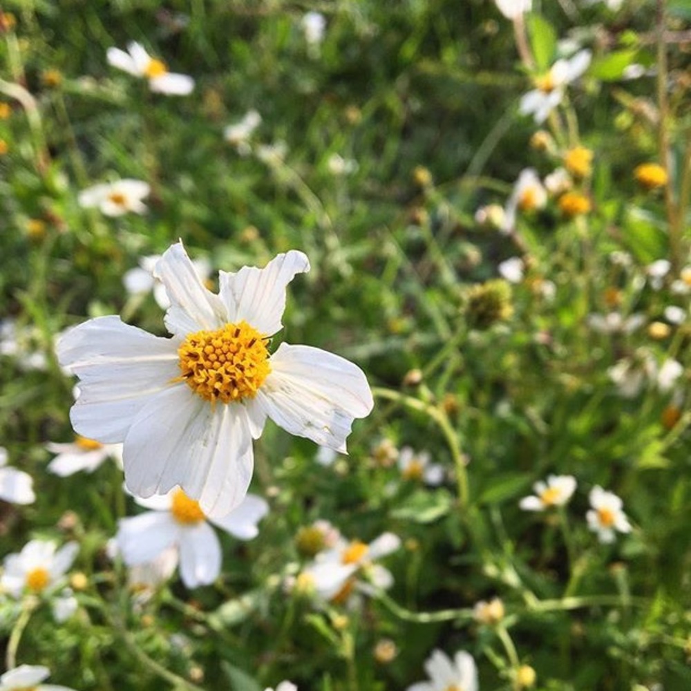 Meet your Posher, Zuri