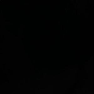 Meet your Posher, Raul