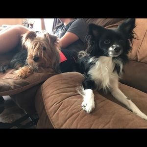 Meet your Posher, Isabelle