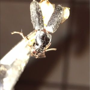 Meet your Posher, Mike