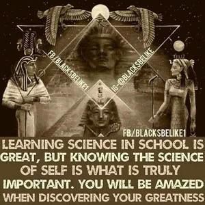 Meet your Posher, Damon