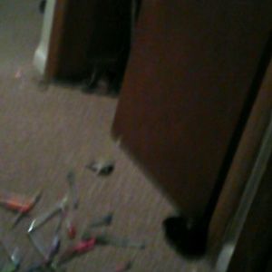 Meet your Posher, Kennidy