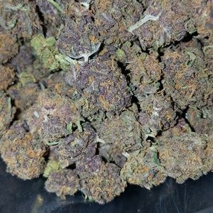 Meet your Posher, Frederick