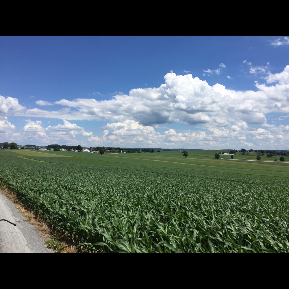 Meet your Posher, Debra