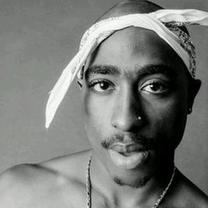 Meet your Posher, Bernard