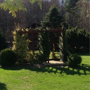 Meet your Posher, Tanya