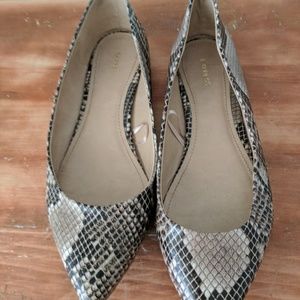 Express Pointed Toe Flats